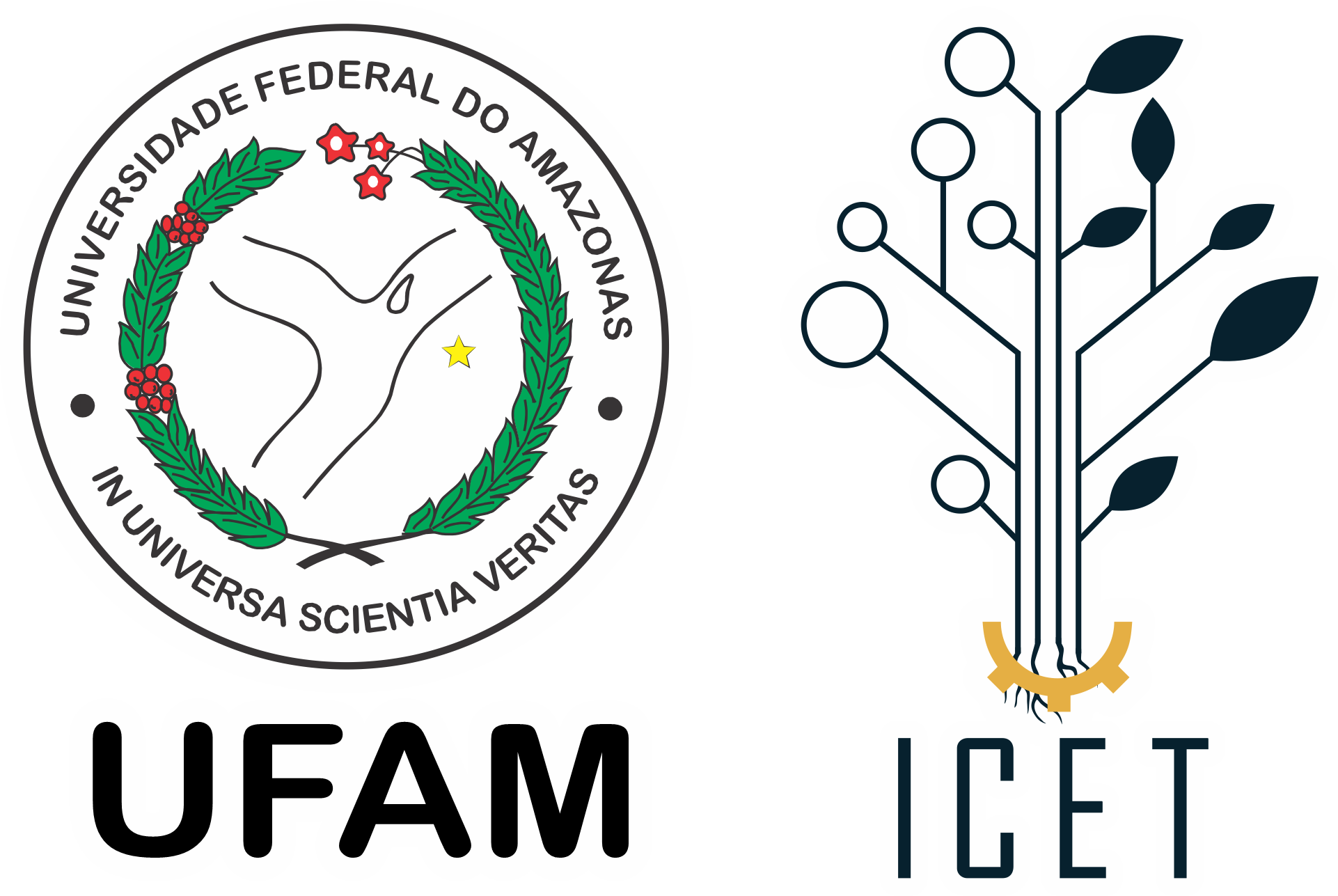 Ufam-Icet
